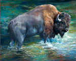 Buffalo Stream