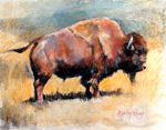 Buffalo