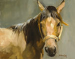 The Buckskin