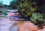 Enchanted Rock Wash